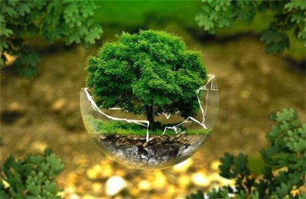 潍坊环评验收价格咨询