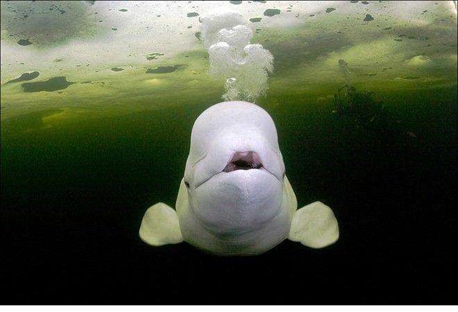 潍坊危废协议哪里有啊？