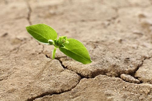 茌平职业卫生评价