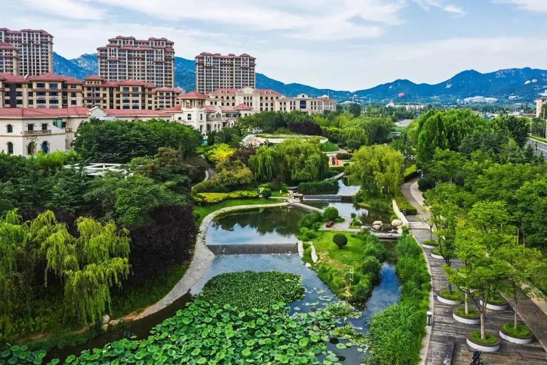 潍坊排污许可-价格合理